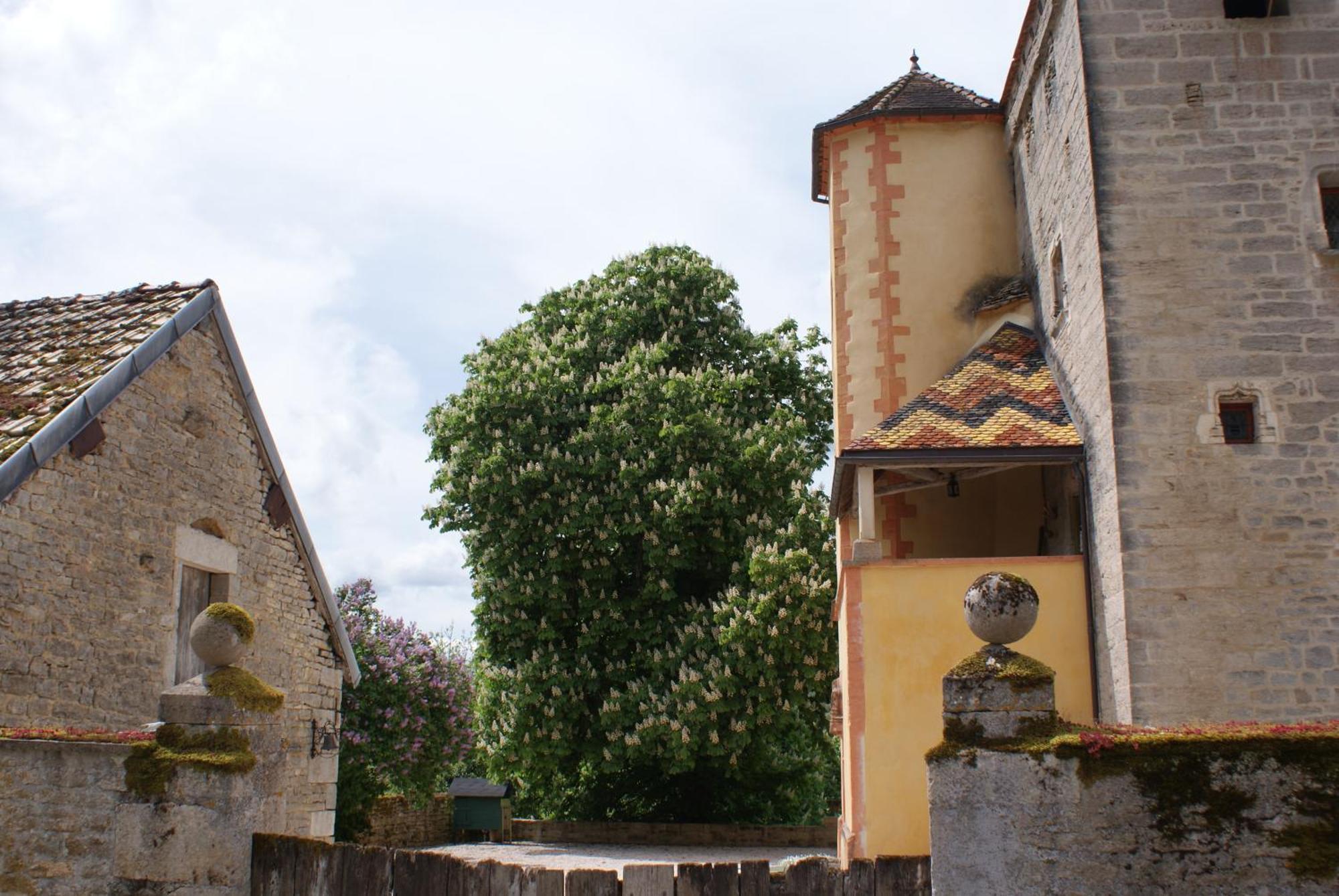 Chateau De Champrenault, Voyagez Dans Le Temps Kültér fotó